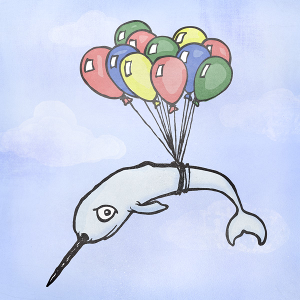 Narwhal!